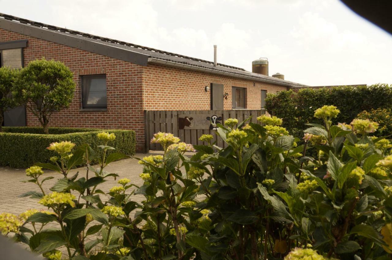 Villa Kampenhof Maaseik Esterno foto